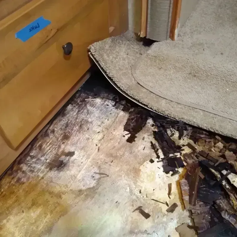 Best Wood Floor Water Damage Service in Fort Washakie, WY